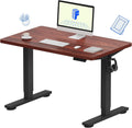 FLEXISPOT EN1 Whole-Piece Standing Desk 40x24 - Smooth Electric Height