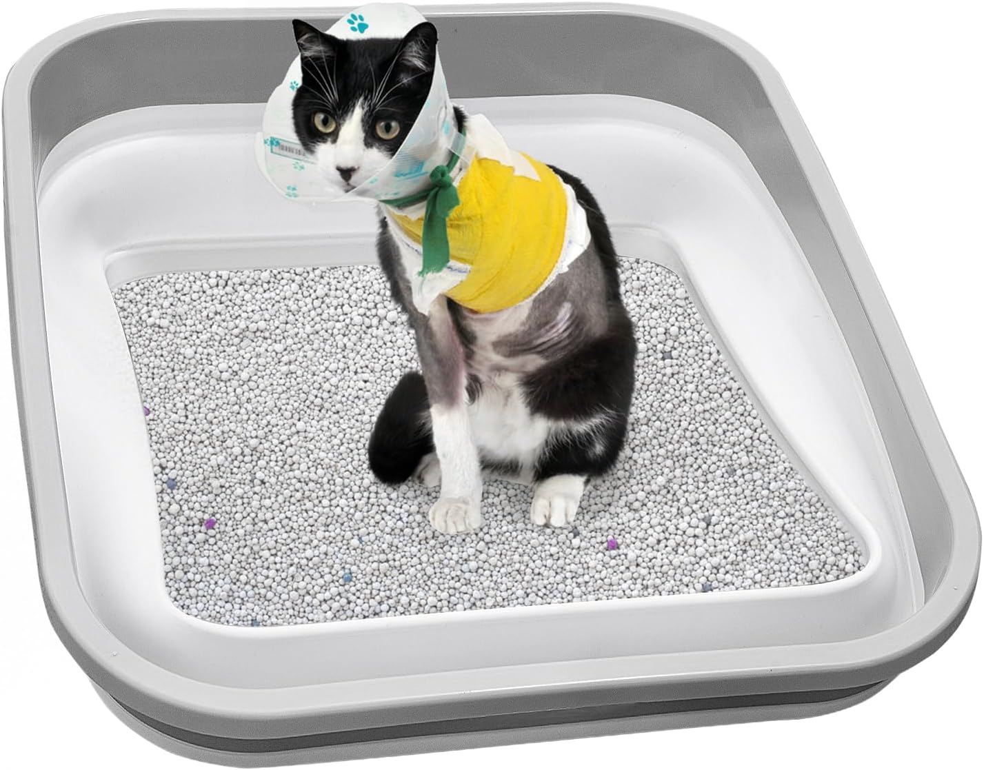 Senior Cat Litter Box for Arthritic Cats - Low Entry Design