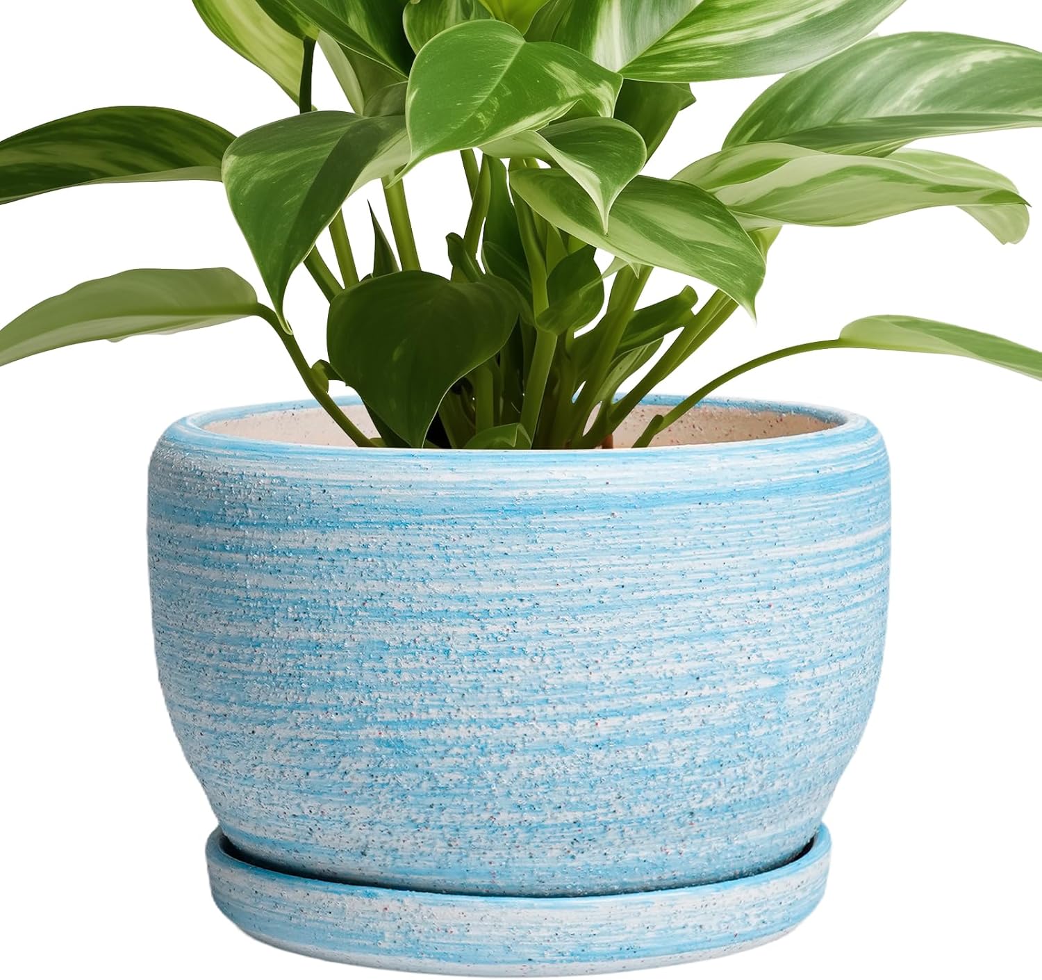 SQOWL Ceramic Planter - 8 Inch Pot for Indoor and Outdoor Use