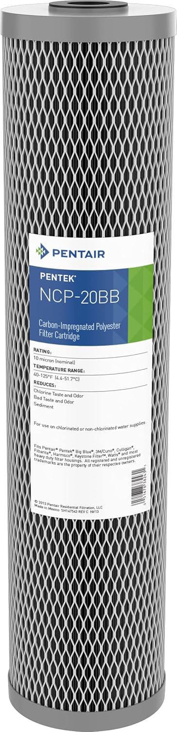 Pentair Pentek NCP-20BB Big Blue Carbon Water Filter Review