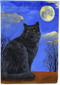 Black Cat Hocus Pocus Halloween House Flag - Large Porch Sleeve