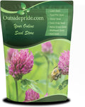 Perennial Red Clover Seeds 40 lbs - Self-Seeding, Inoculated