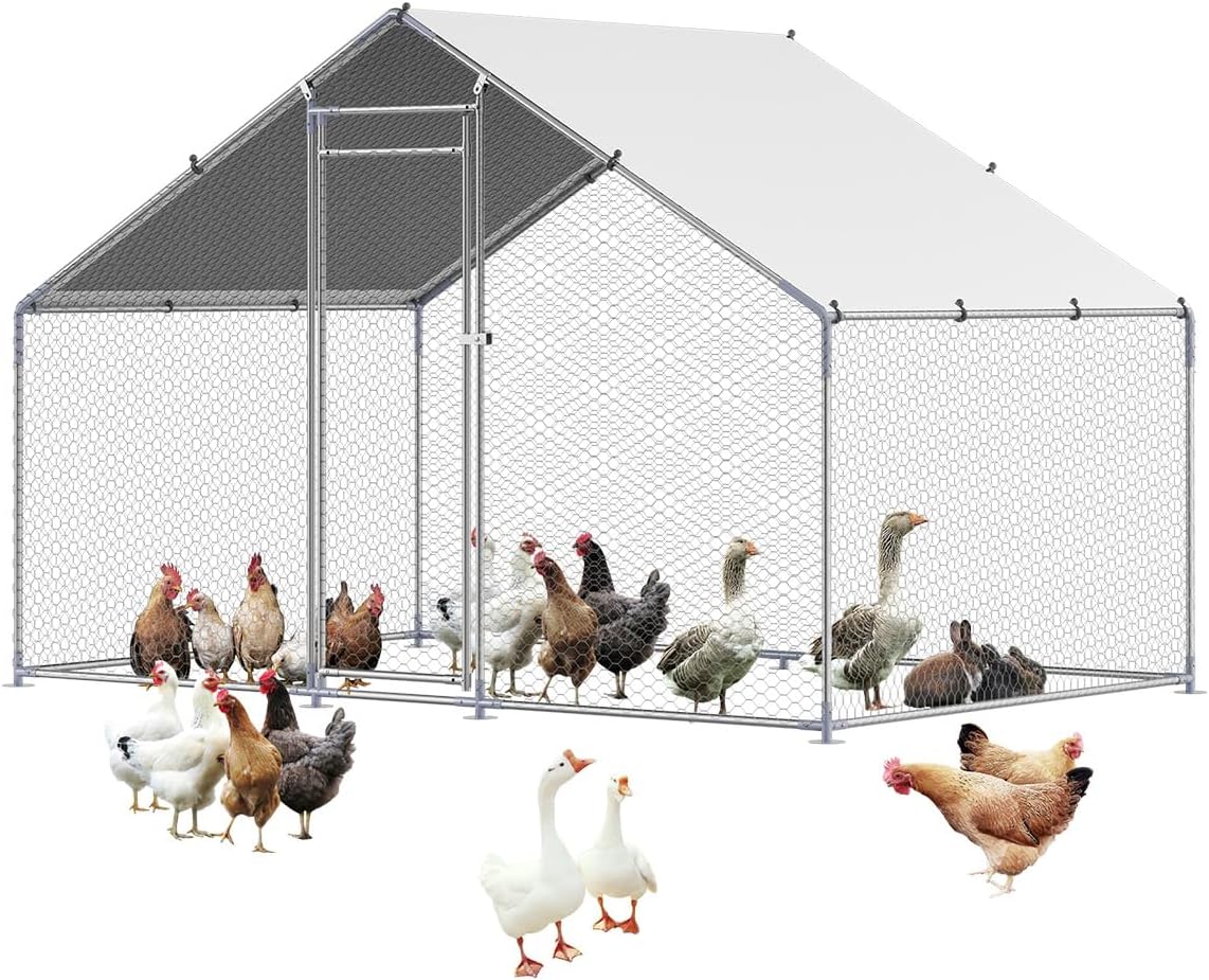 Large Metal Chicken Coop with Run for Poultry and Rabbits