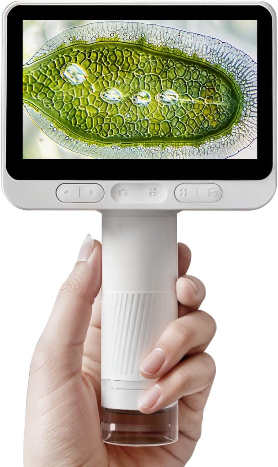 BEAVERLAB 4.0in Microscope for Kids - Portable Educational Tool