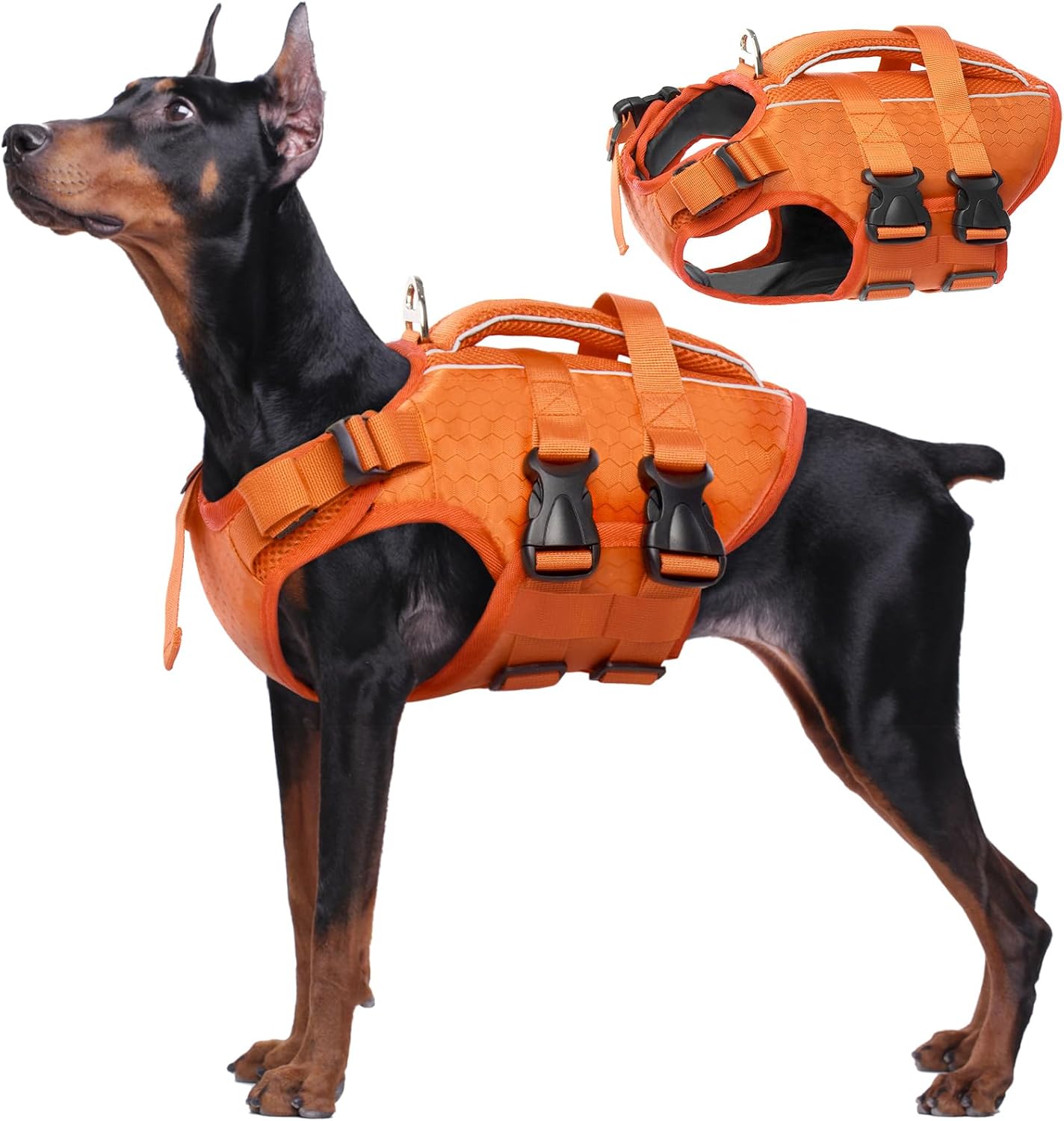 Kuoser Dog Life Jacket High Flotation for Safe Water Fun