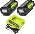 2 Packs 40 Volt 6.0Ah OP40601 Replacement Battery Pack - Reliable