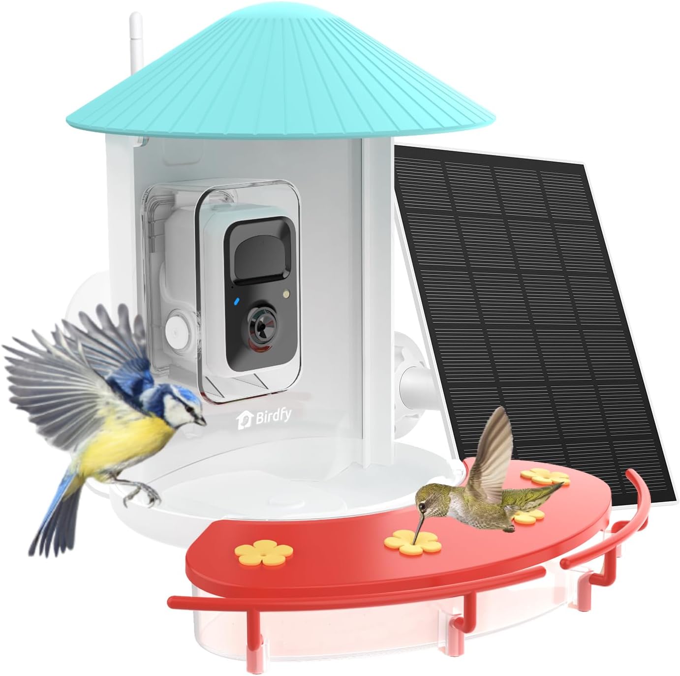 NETVUE Hummee: Capture Close-up Hummingbird Action!