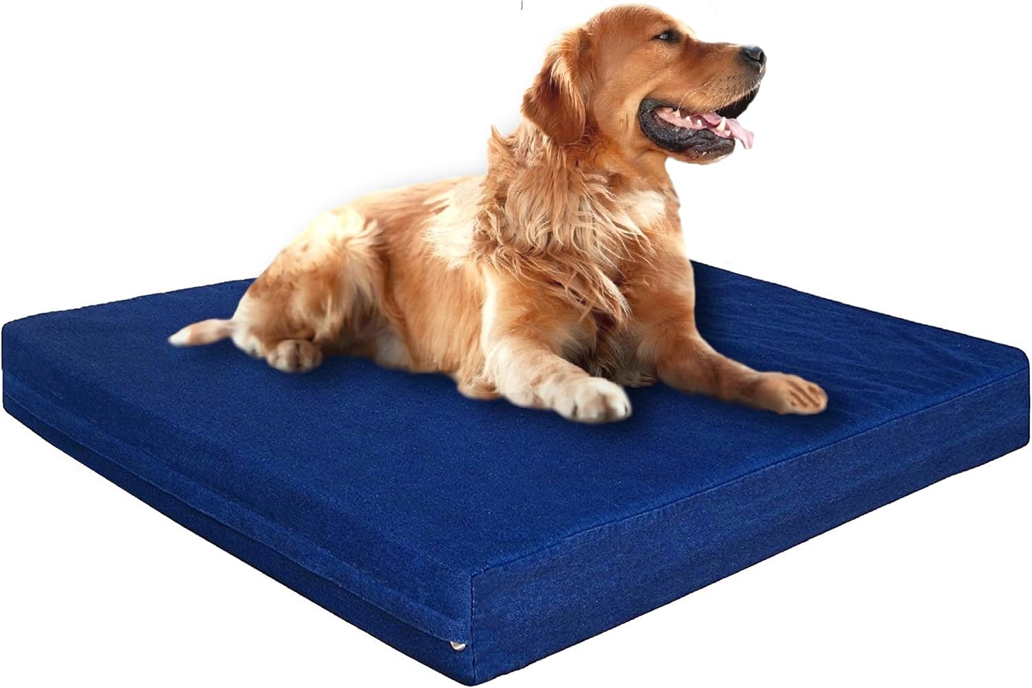 Luxury Extra Large Orthopedic Memory Foam Dog Bed for Large Dogs