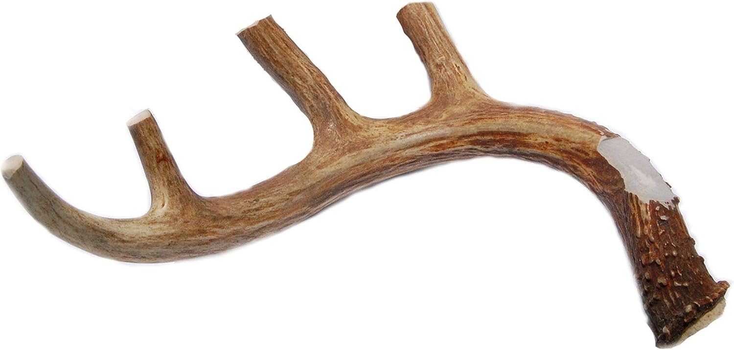 XL Deer Antler Dog Chew for Large Dogs - Premium Quality Treats