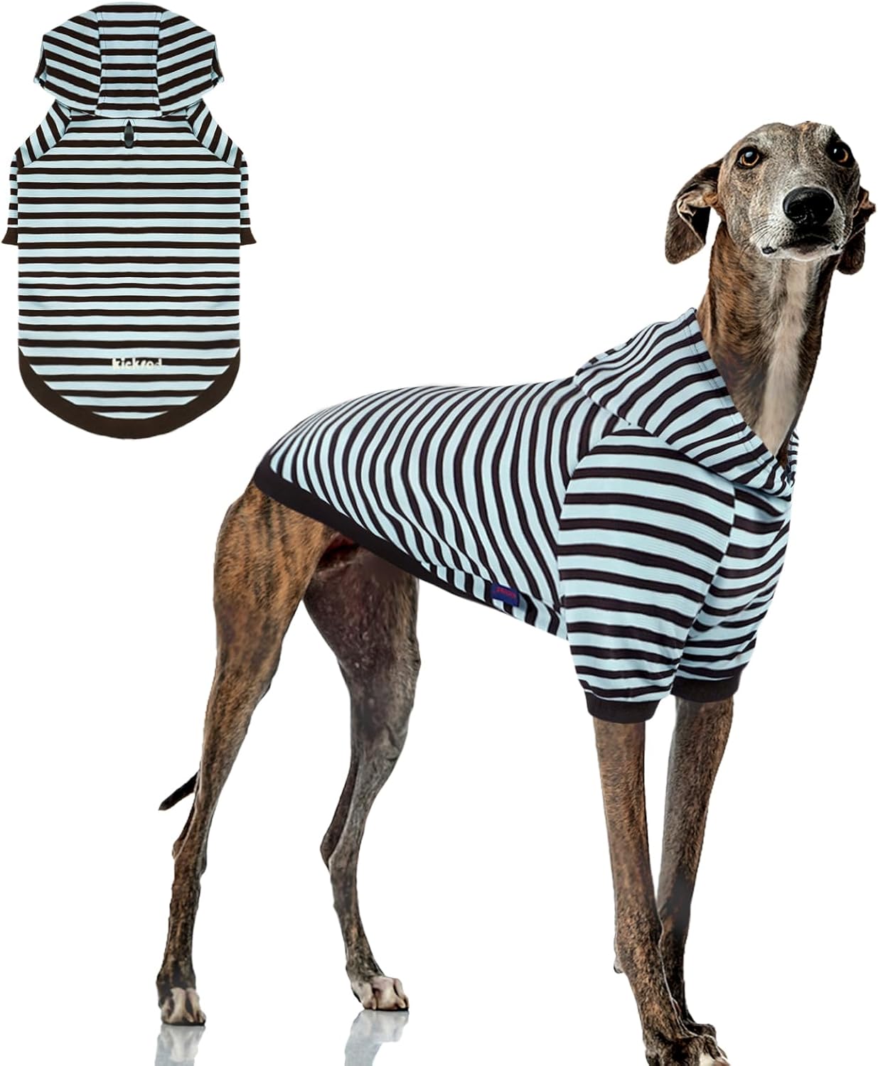Striped Dog Hoodie with Leash Hole - Warm & Stylish!