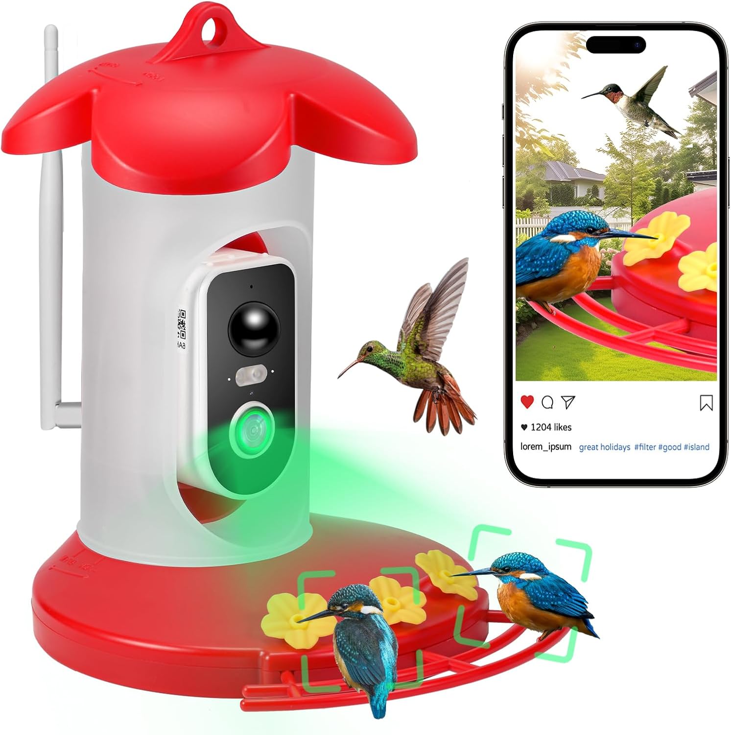 2K Hummingbird Feeder Cam - Bird Species AI, Motion Detection
