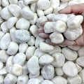 40 lbs White Rocks for Landscaping 1-2 in White Gravel - Decorative