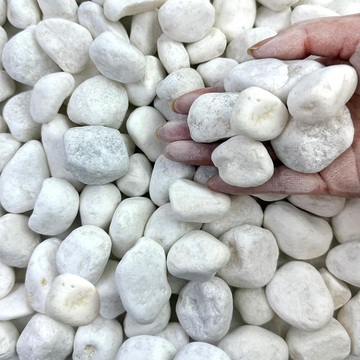 40 lbs White Rocks for Landscaping and Decorative Uses