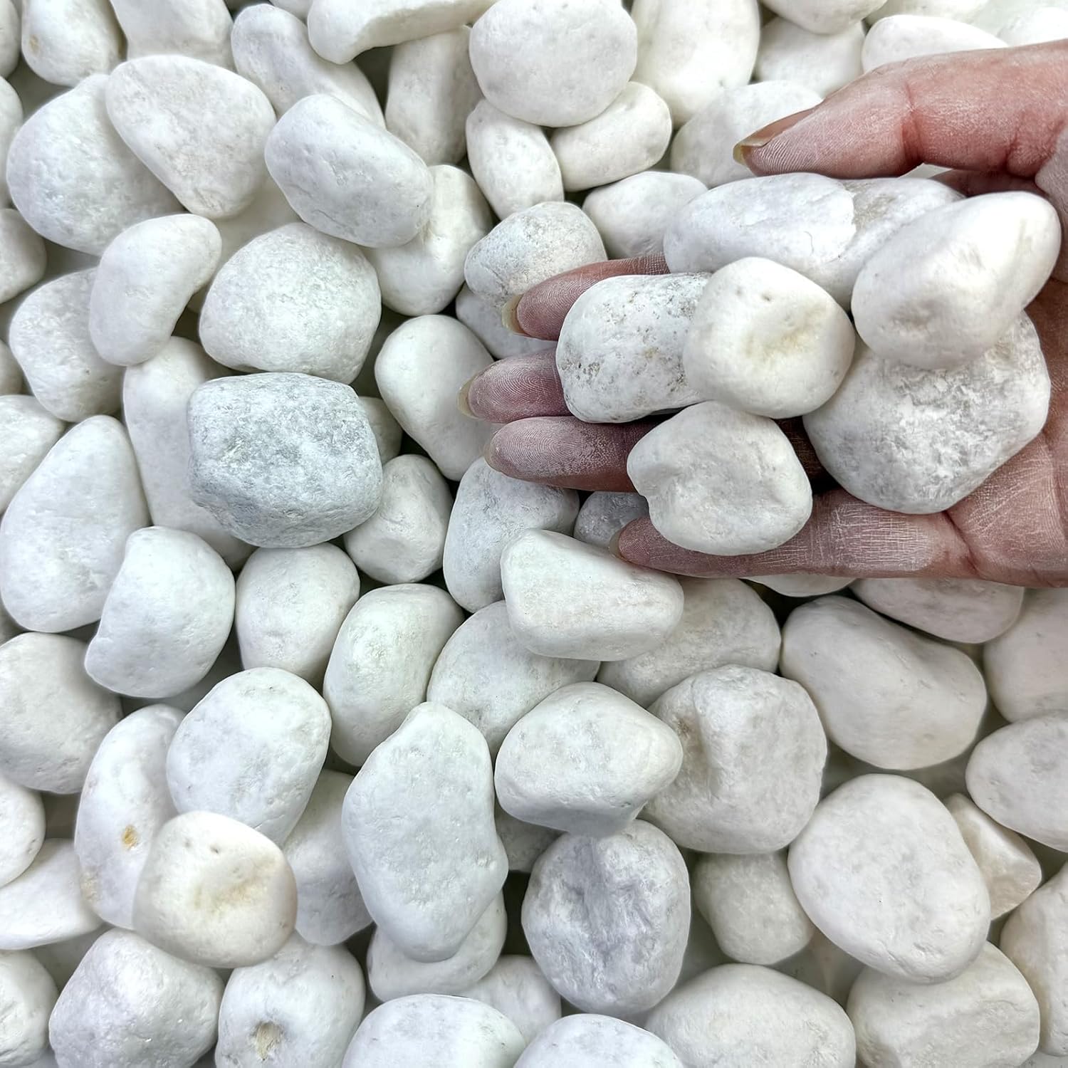 40 lbs White Rocks for Landscaping and Decorative Uses