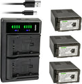 Kastar 3-Pack VW-VBG6 Battery and LTD2 USB Charger for Panasonic