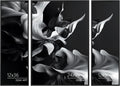 DOAI ART 24x36 Poster Frame with Two 12x36 Frames - Stylish Wall
