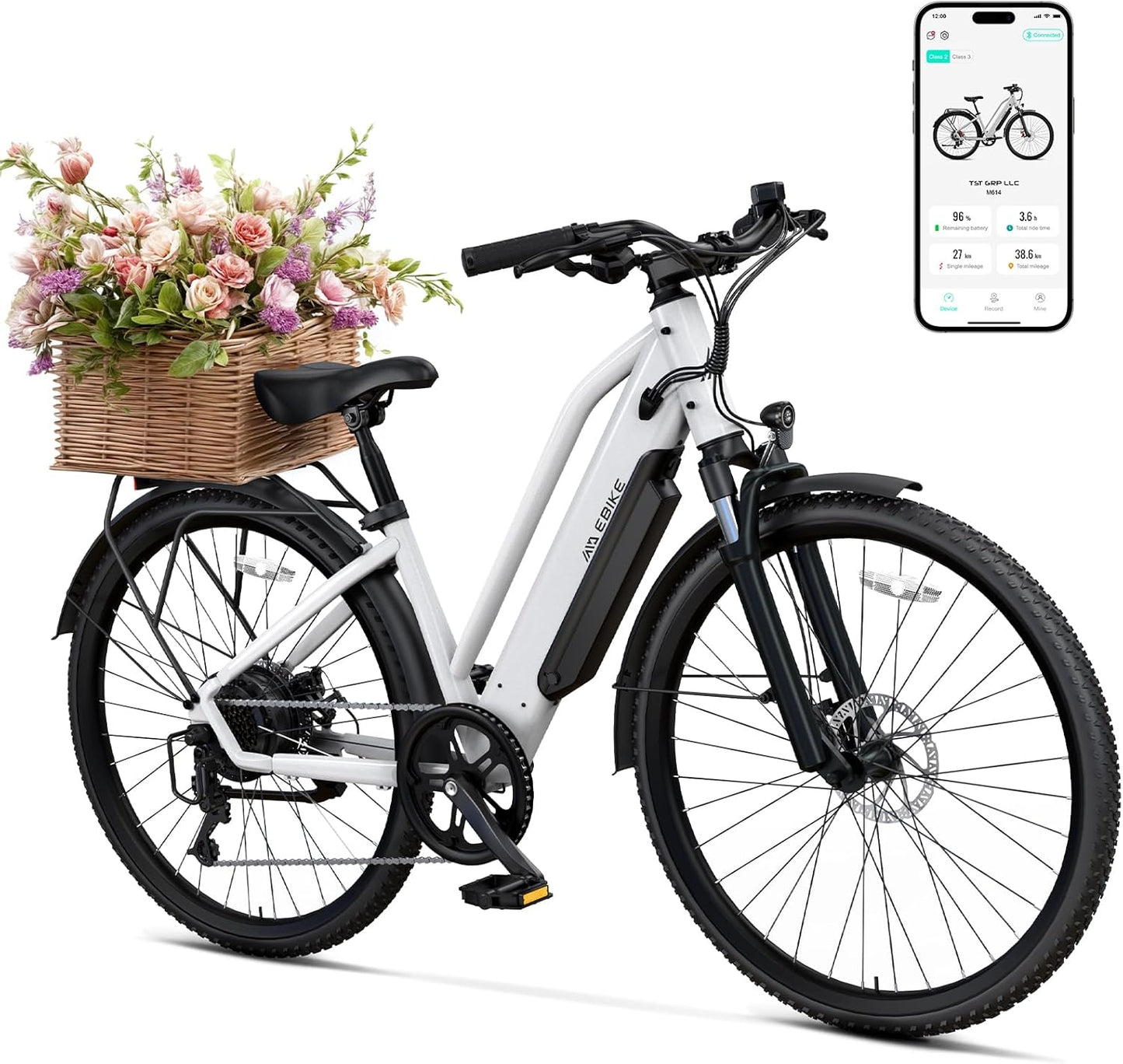TST Electric Bike for Adults with 1000W Motor and 7-Speed Gear