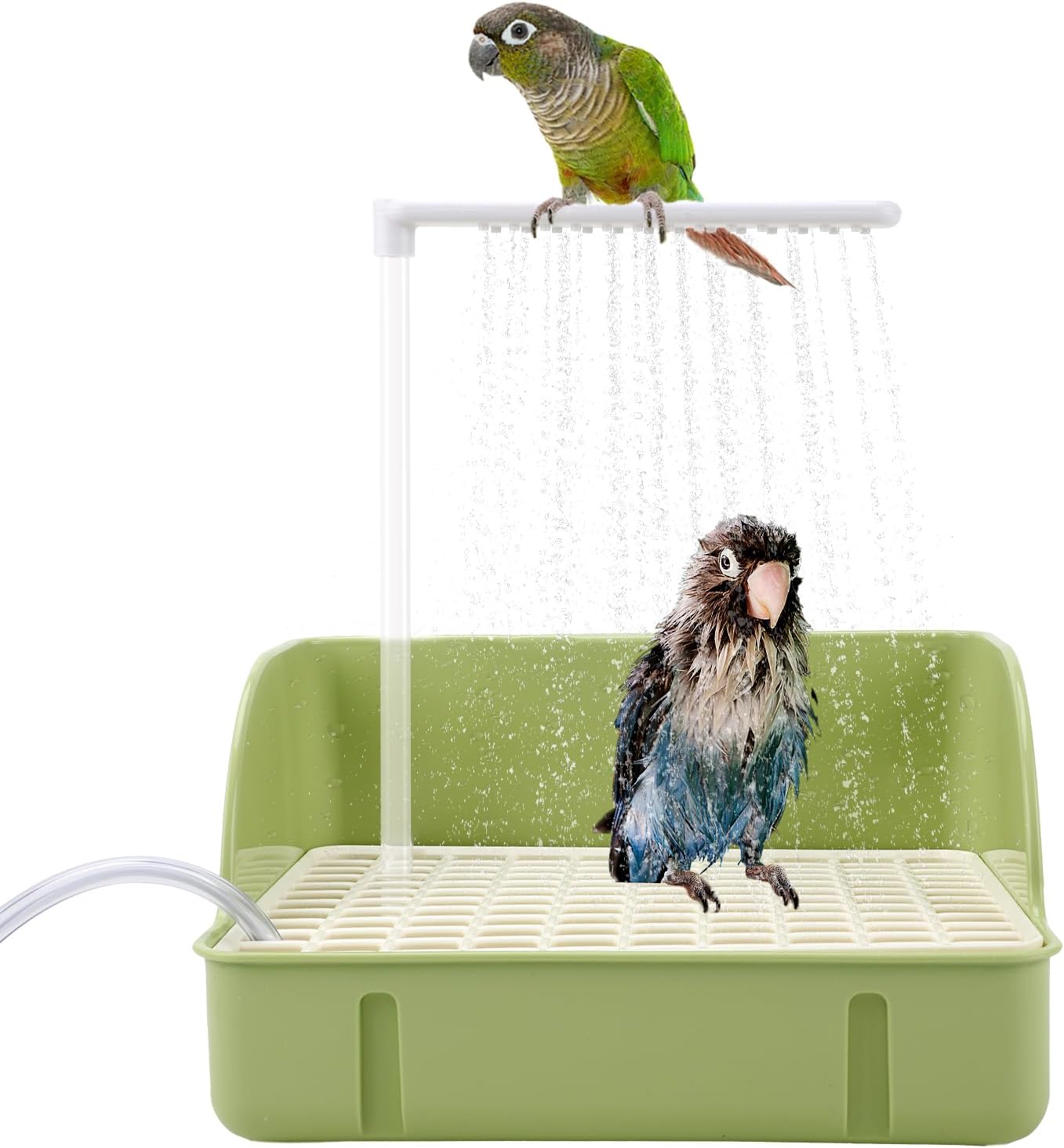 USB Electric Bird Bath for Safe Bird Bathing
