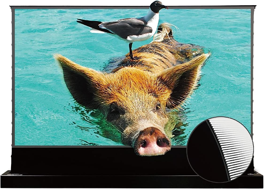 VIVIDSTORM Motorized Floor Rising UST ALR Projector Screen Review