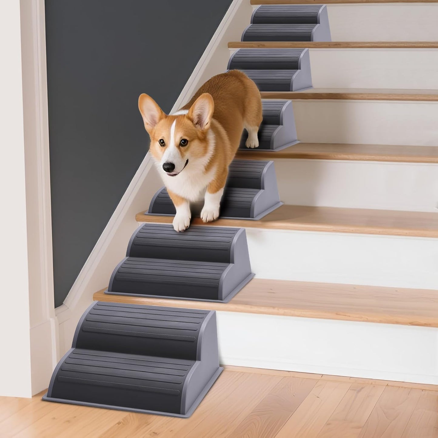 2-Step Modular Dog Ramp for Small Dogs - Portable Non-Slip Stairs