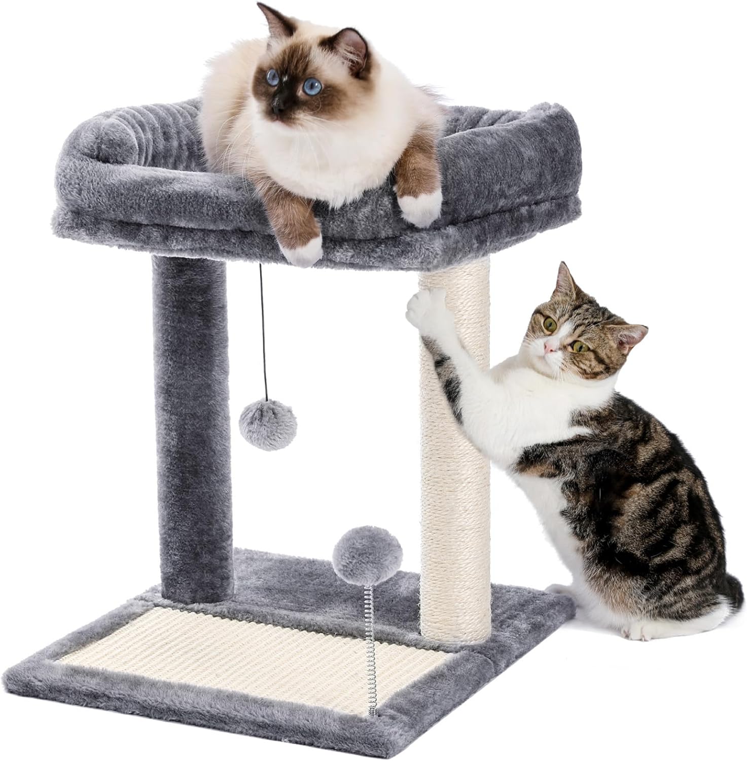 PAWZ Road Cat Scratching Post Bed for Kittens and Cats