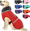 QBLEEV Warm Dog Coat Waterproof Winter Jacket for All Breeds