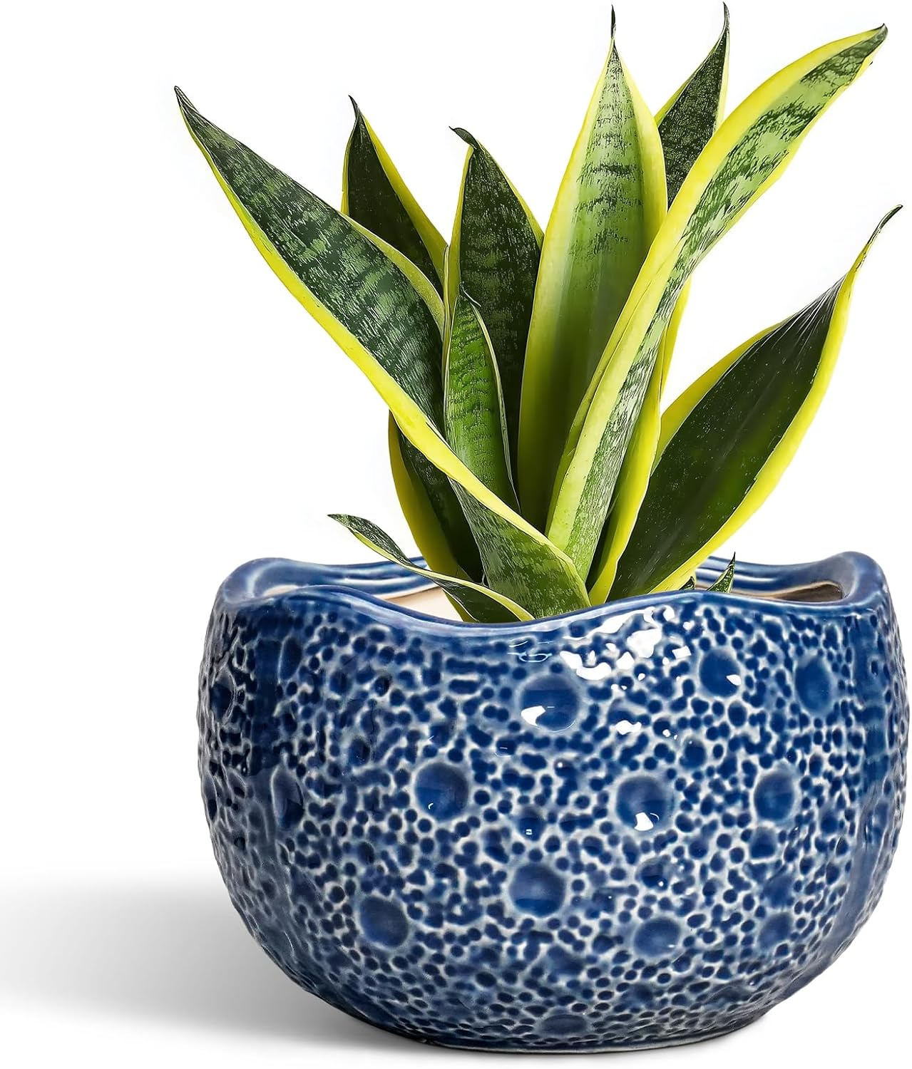 Ceramic Pots for Plants - 8 Inch Round Planter with Drainage