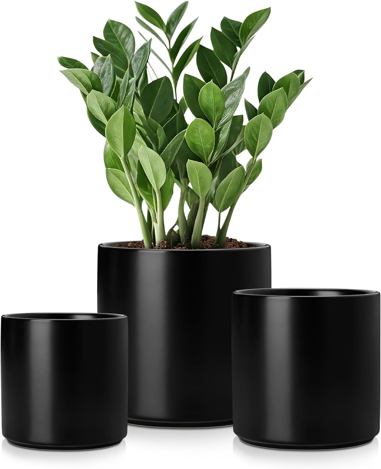 vancasso Ceramic Plant Pots Set of 3 with Drainage Holes