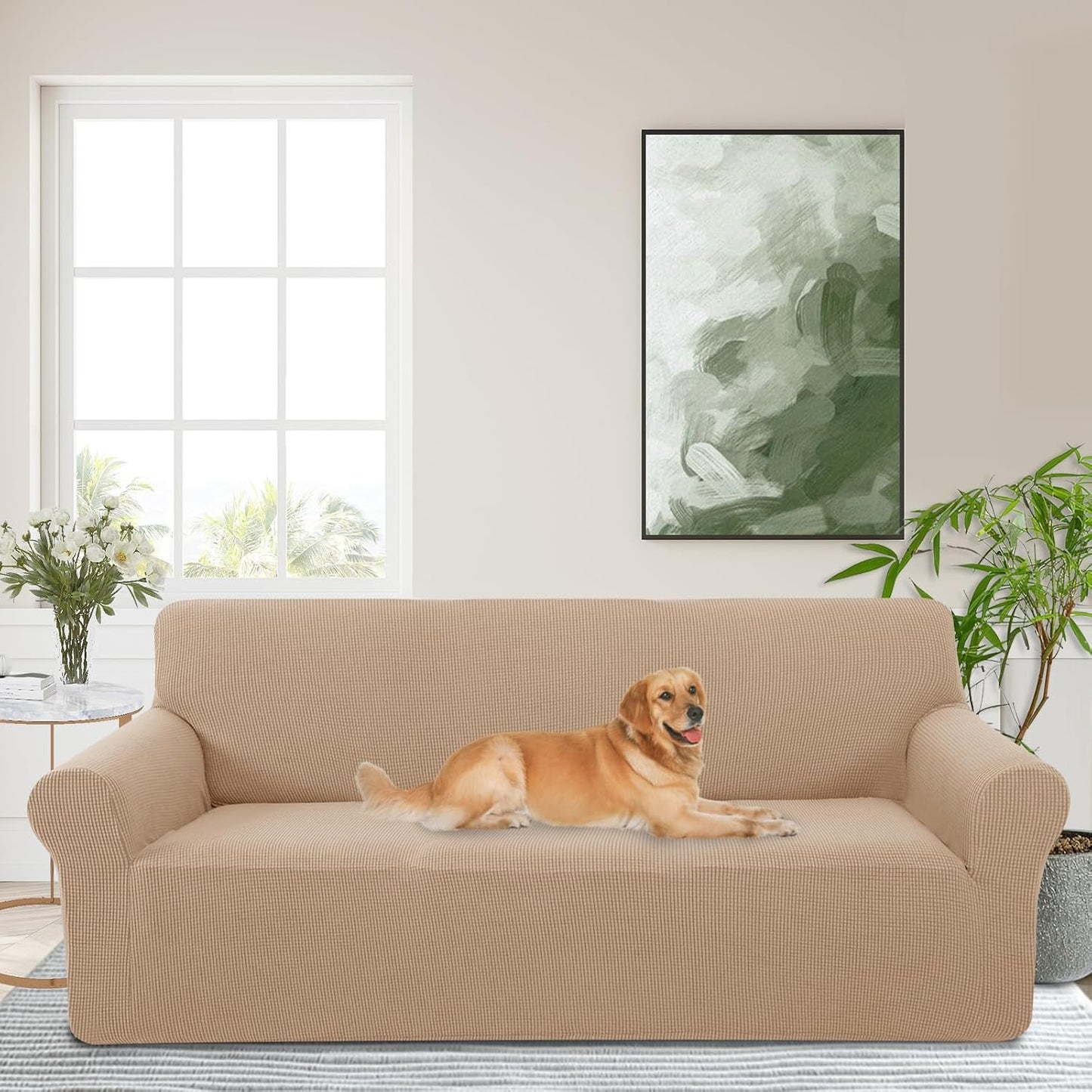 Stretch Couch Cover Washable Sofa Slipcover Protector for Pets