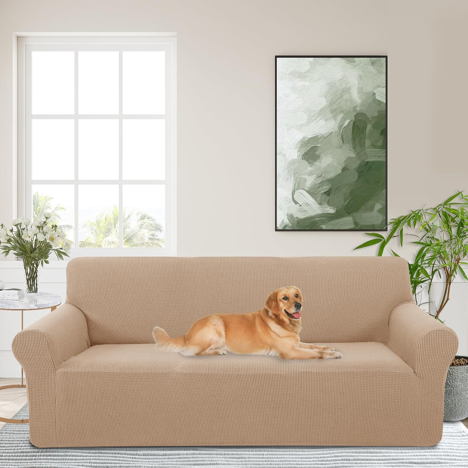 Stretch Couch Cover Washable Sofa Slipcover Protector for Pets