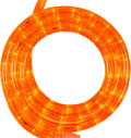 LED Orange Rope Light for Halloween by Wintergreen Lighting