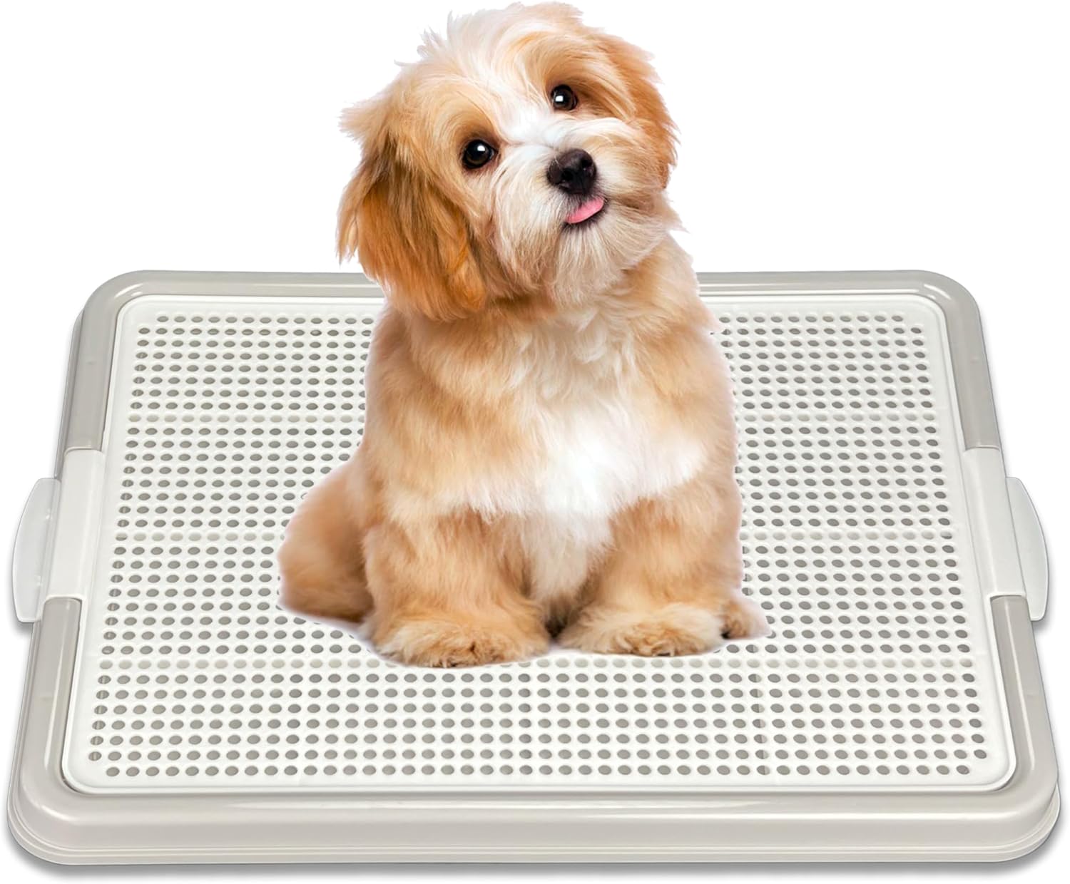 Dog Pee Pad Holder for Small Dogs - Easy Clean Potty Training Tray