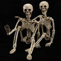 2 Pack 40 in Halloween Skeleton Life Size Posable Decor - Realistic