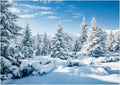 10x8ft Snow Fir Forest Backdrop Christmas Photography Studio Backdrop