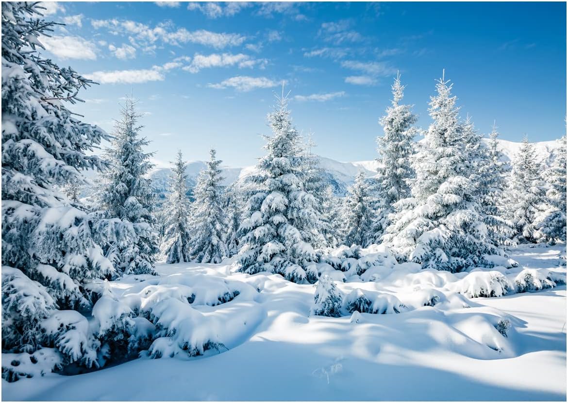 10X8FT Snow Fir Forest Backdrop for Christmas Photography