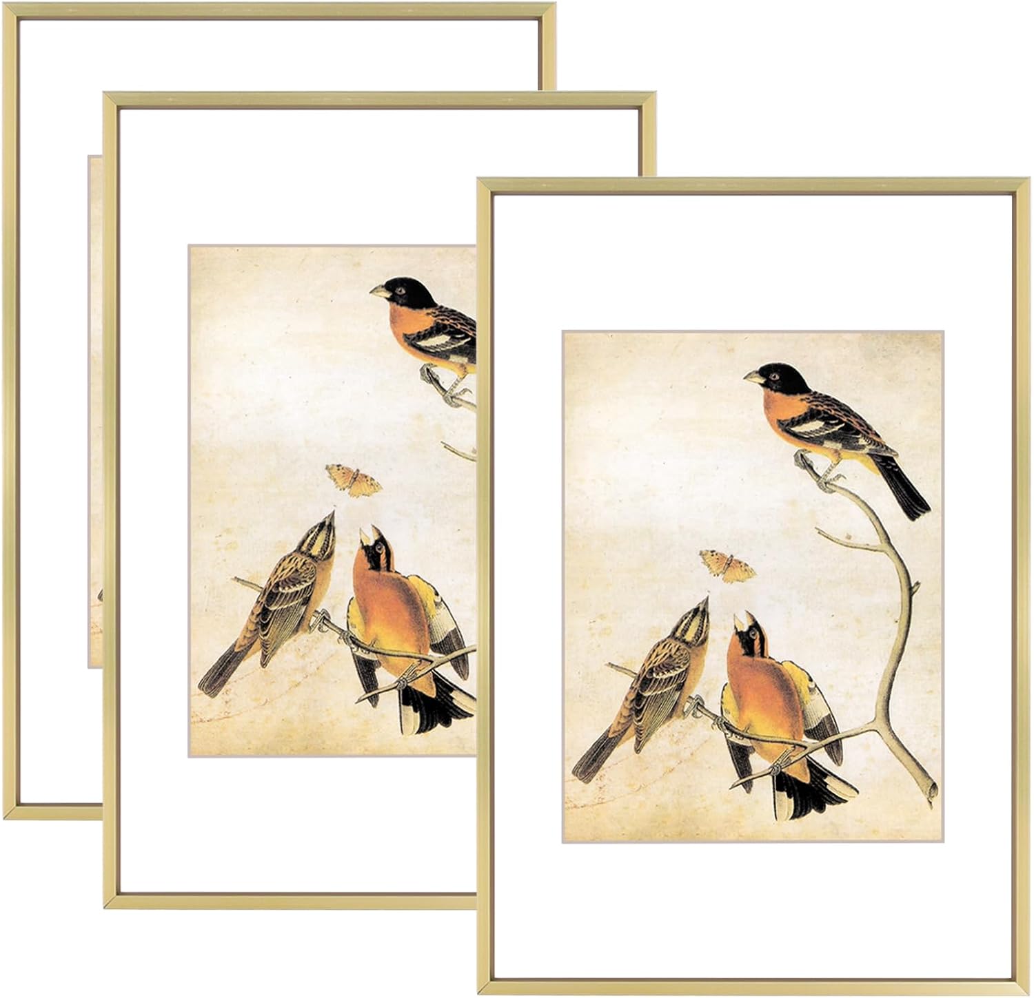 8x12 Picture Frame Set of 3 for Wall Display and Table Use