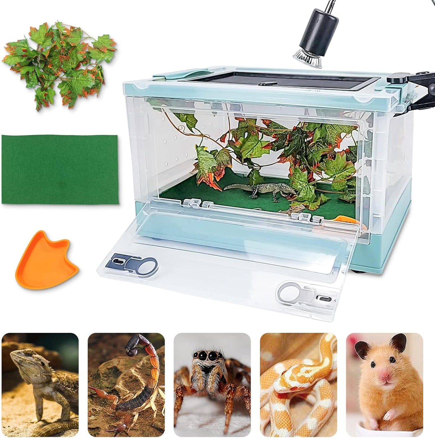 Travel Portable Foldable Terrarium Kits for Reptiles and More