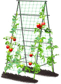 Garden Trellis for Climbing Plants A-Frame 31.5x70.8 in - Vertical