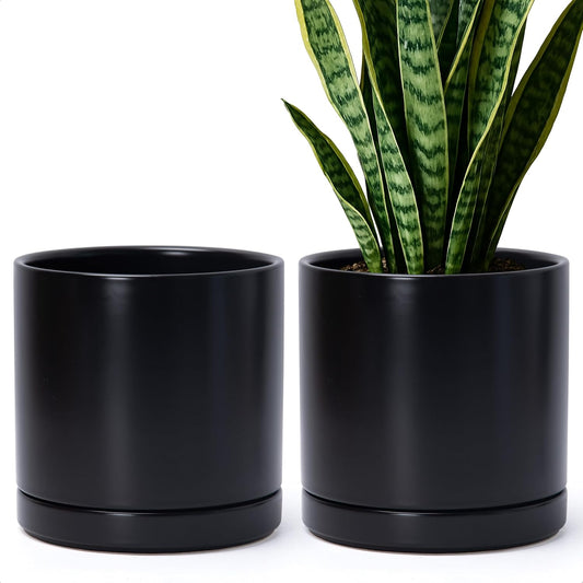 D'vine Dev Set of 2 Ceramic Planter Pots with Drainage Holes