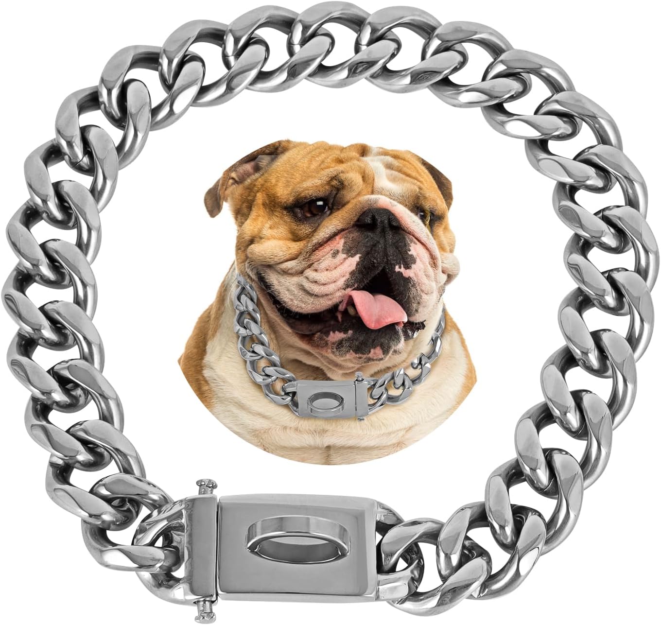 Cuban Link Dog Collar with Secure Buckle for Medium Dogs