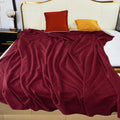 Waterproof Blanket for Bed Couch Sofa 60x80 - Reversible, Leakproof