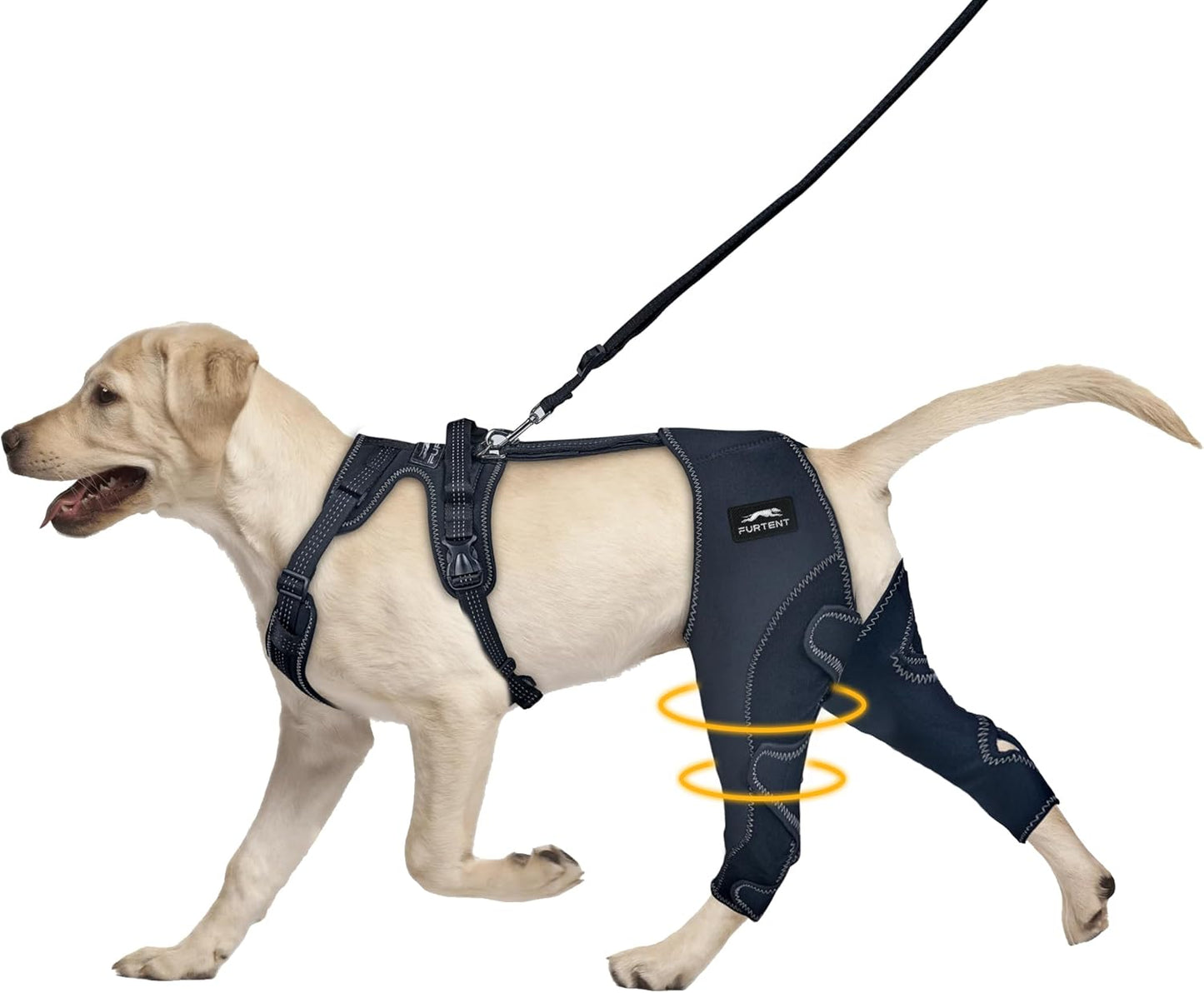 Dog ACL Brace for Hind Leg - Adjustable Support for Recovery