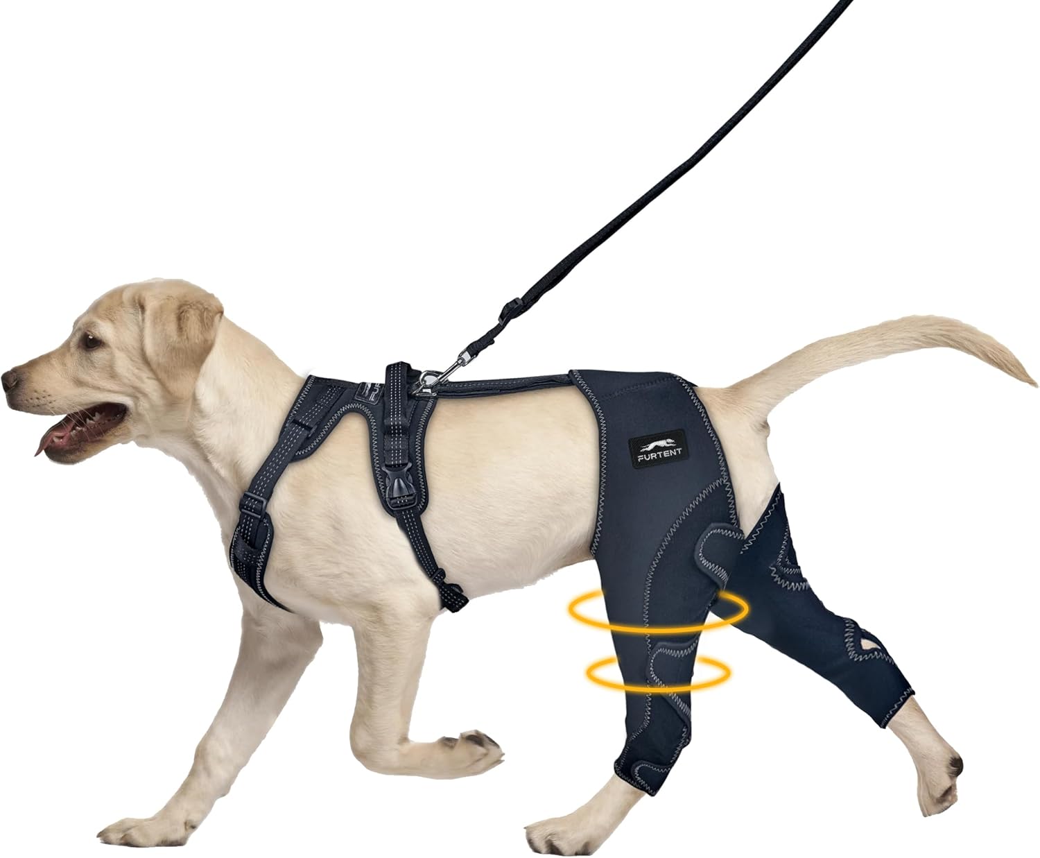Dog ACL Brace for Hind Leg - Adjustable Support for Recovery
