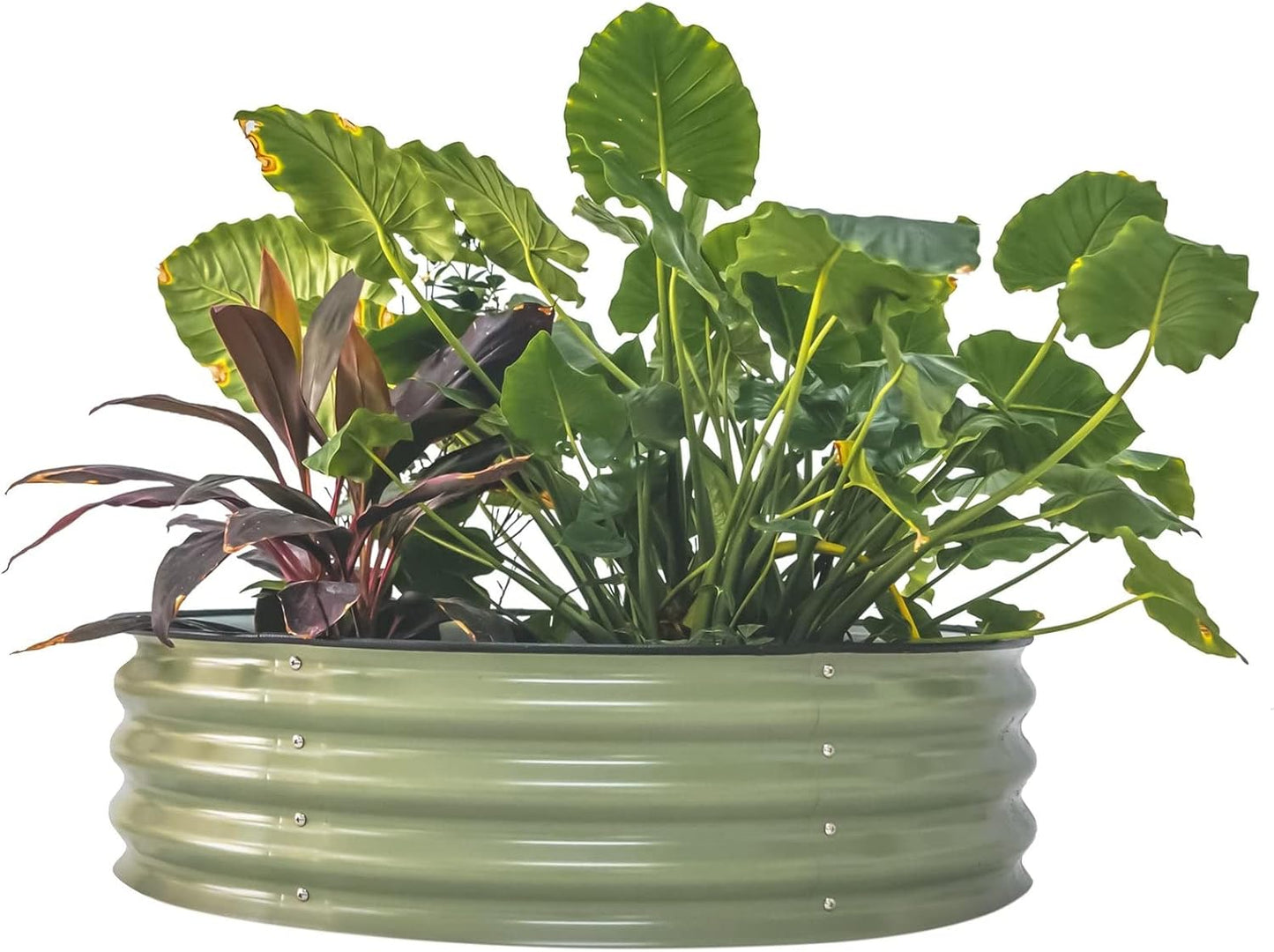 Vego Garden 11 Tall 42 Round Raised Garden Bed for Vegetables