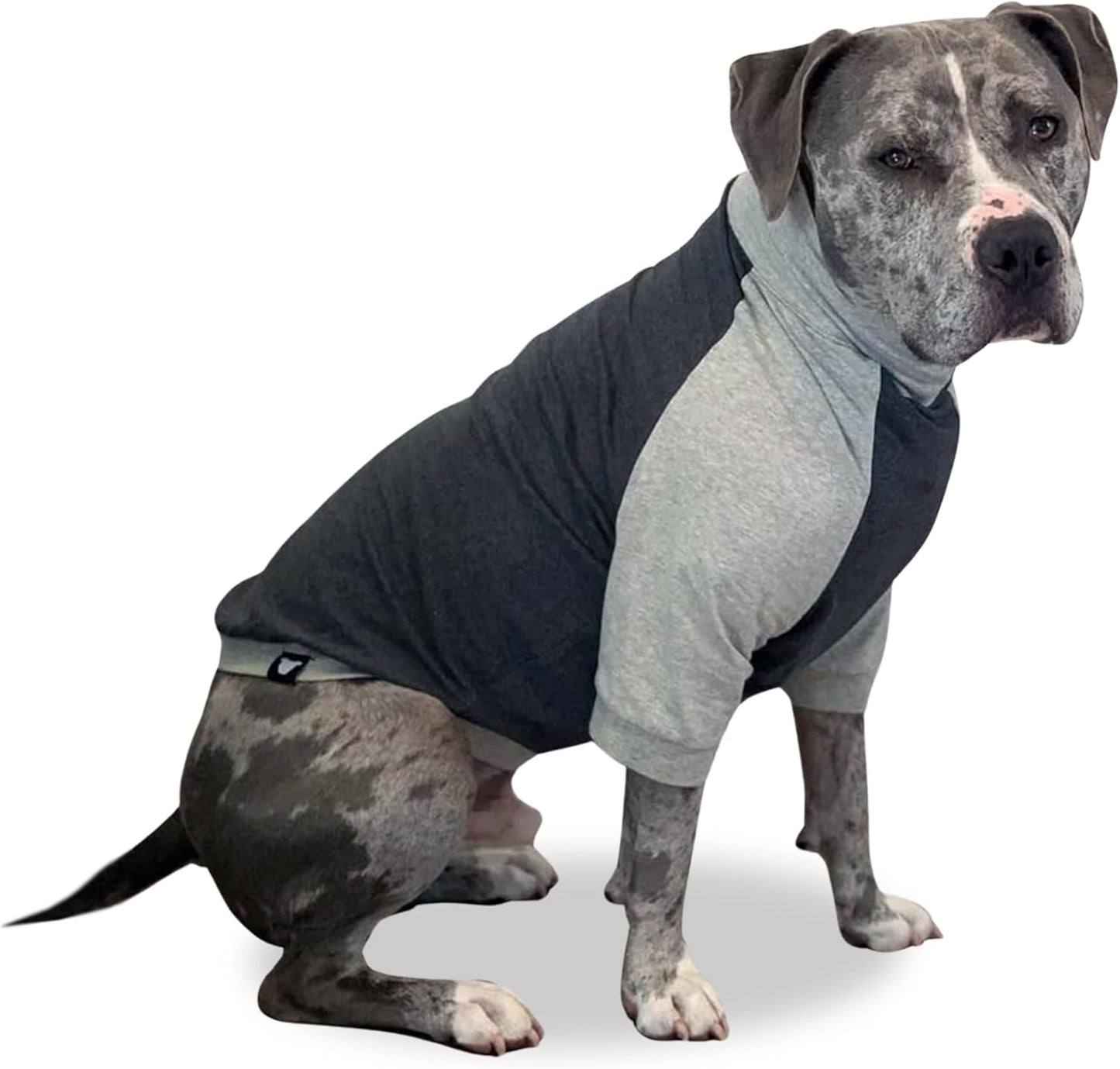 Tooth & Honey Large Dog Pullover Shirt for Allergy Relief