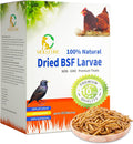 High Protein Dried Black Soldier Fly Larvae for Chickens 10lbs