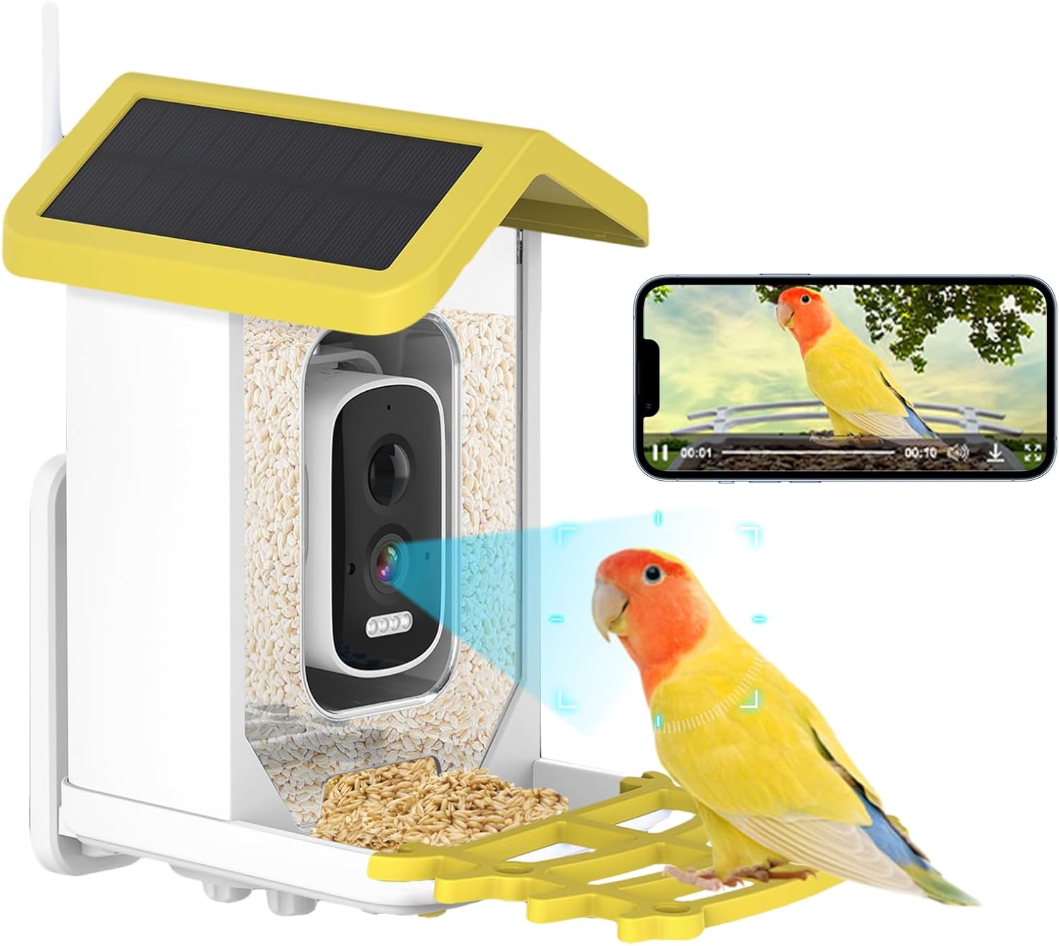 HD Camera Bird Feeder with Auto Capture