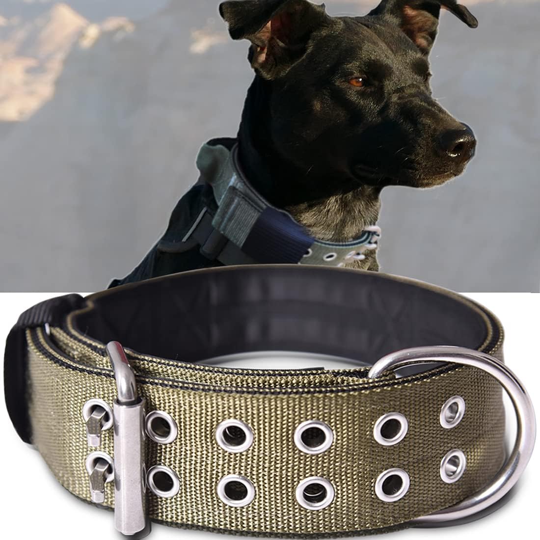 Tactical Dog Collar for Large Dogs - Heavy Duty Camo Design