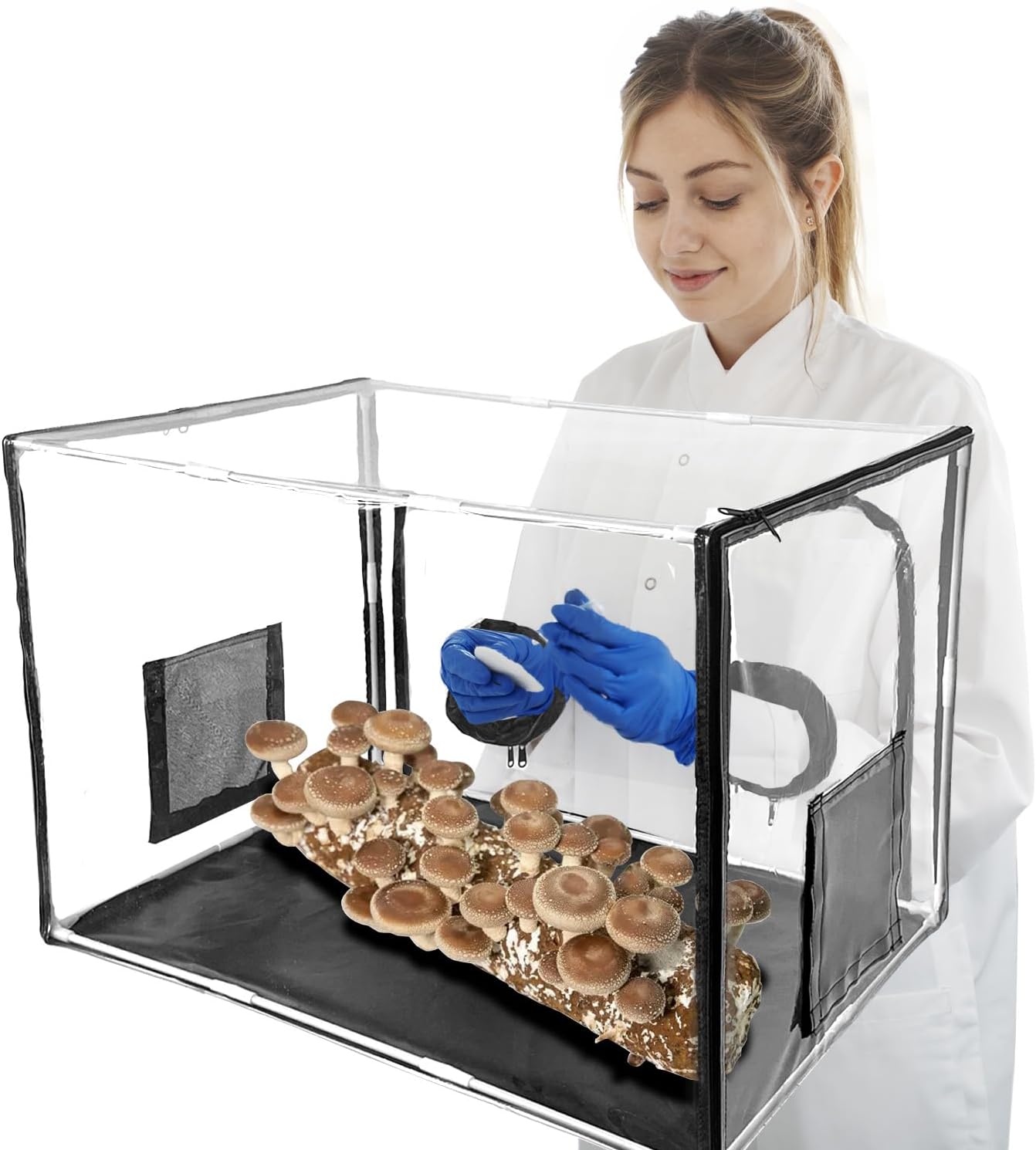 Fungiworks Grow Kit: XL Mushroom Setup for Superior Spore Growth