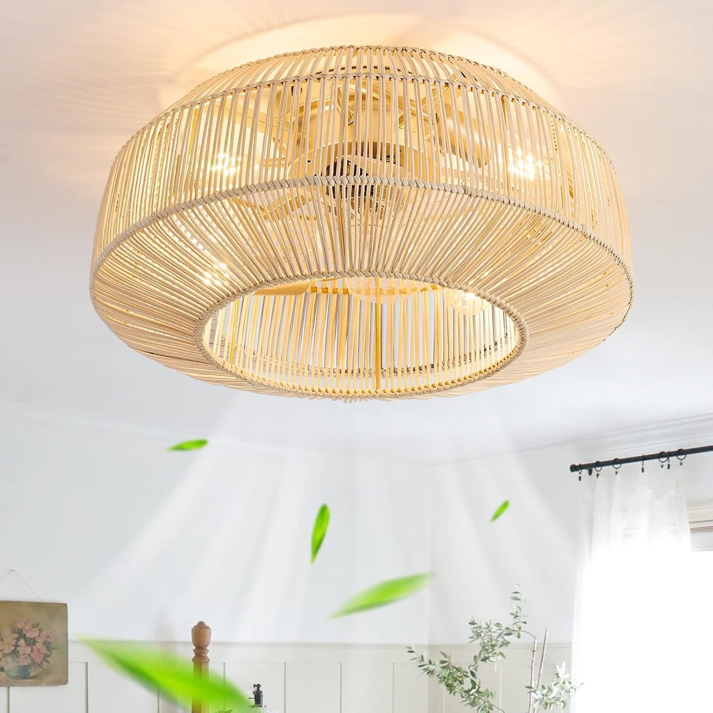 20in Boho Caged Ceiling Fan with Lights and Remote Control